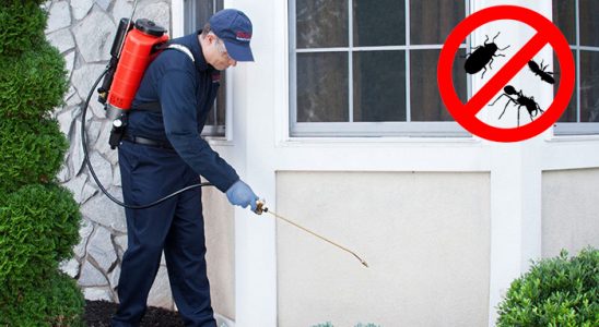Aslanapa Kemirgen İlaçlama böcek ilaçlama ve haşere kontrolü — ilaclama-tr.com